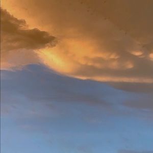 Meet your Posher, Tyrell